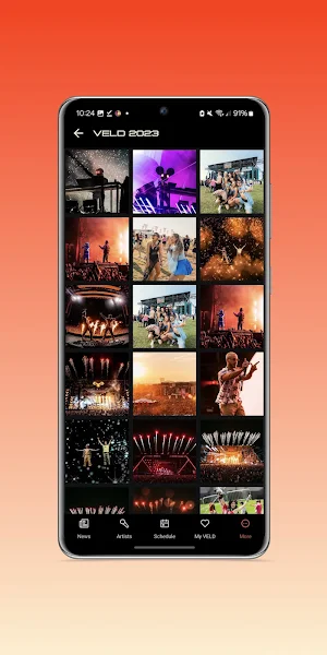 VELD Festival Screenshot 3
