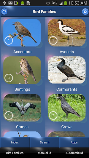 Bird Song Id: Auto Recognition Screenshot 2