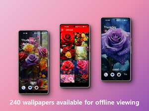 Rose flower wallpapers offline Screenshot 2