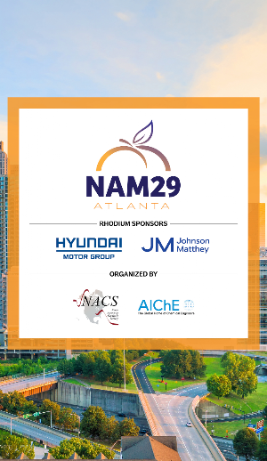 NAM29 Screenshot 0