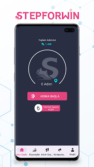 Stepforwin Screenshot 3