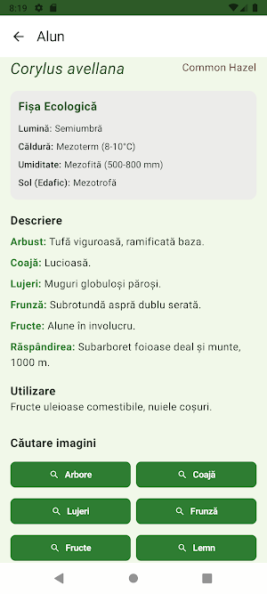 Dendrologie Screenshot 3