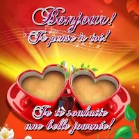 Cartes de vœux Bonjour