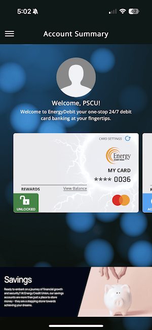 EnergyDEBIT Screenshot 3