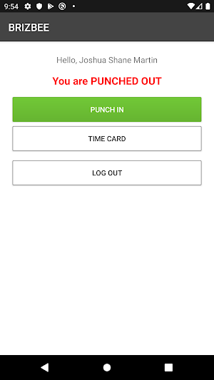 BRIZBEE Time Tracking Screenshot 1