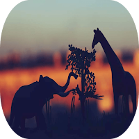 Animal world