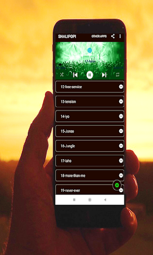 shallipopi-all-songs Screenshot 1