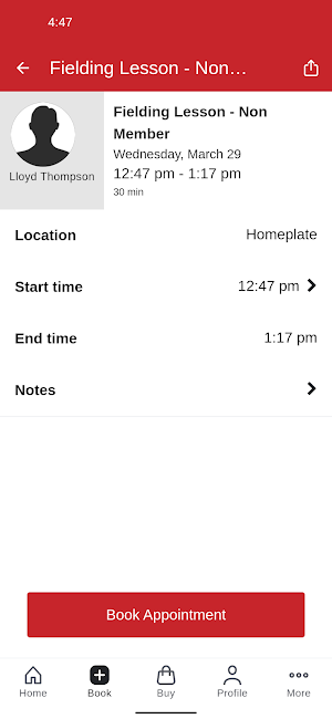 Home Plate Baseball Screenshot 2