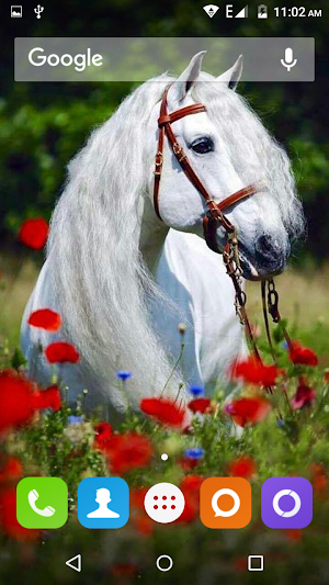 White Horse Hd Wallpapers Screenshot 1