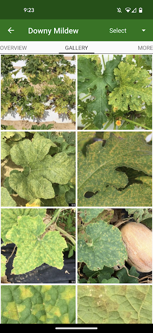 MyIPM Veg Screenshot 3