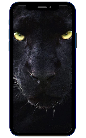 Black Panther Wallpapers Screenshot 3