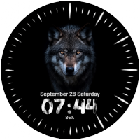 Wolf Face