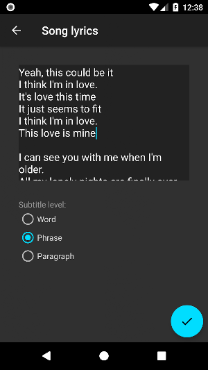Video Lyrics Screenshot 2