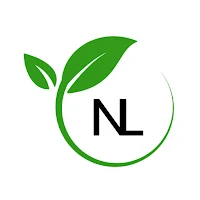 New Life Corning