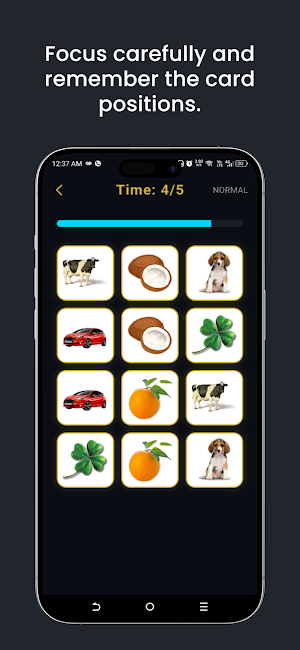 Memory Match - Picture Match Screenshot 2