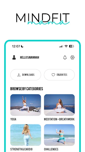 Mindfit Mama Screenshot 0