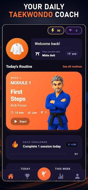 TaeFlow - Train like a master! Screenshot 0