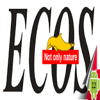 Ecos - Videocollection