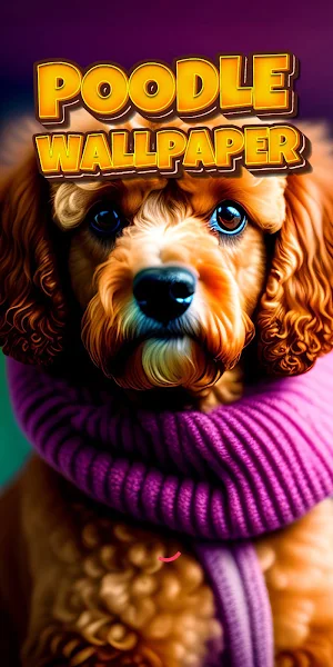 poodle wallpaper Screenshot 0