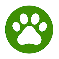 Lost Dogs