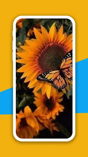 Monarch Butterfly Wallpaper Screenshot 1