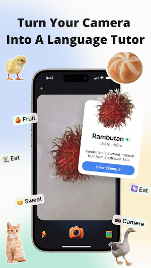 Learn Languages - Snapic Screenshot 0