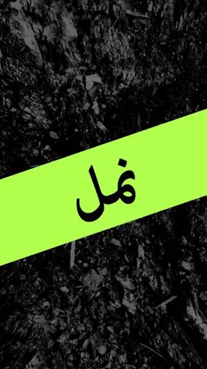 Namal by Nimrah Ahmed - Urdu Novel Complete Screenshot 0