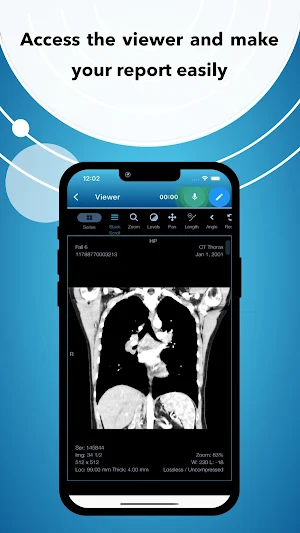 Pether Ris Screenshot 3