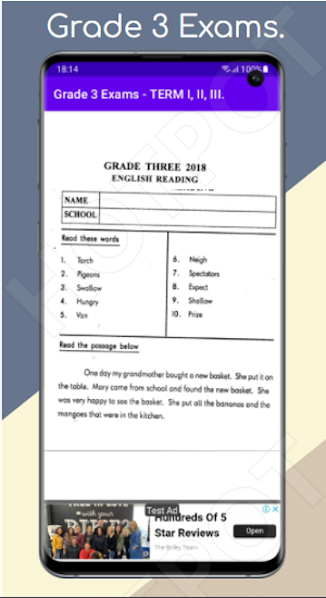 Grade 3 Exams: Term I, II, III Screenshot 3