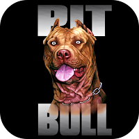 Pitbull Wallpaper 2023