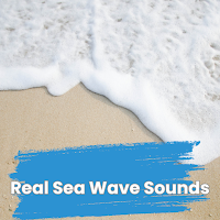 Real Sea Wave Sounds