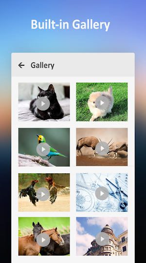 Video Player 2024 Screenshot 1