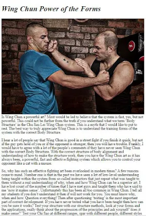 Wing Chun Fight Tutorial Screenshot 3