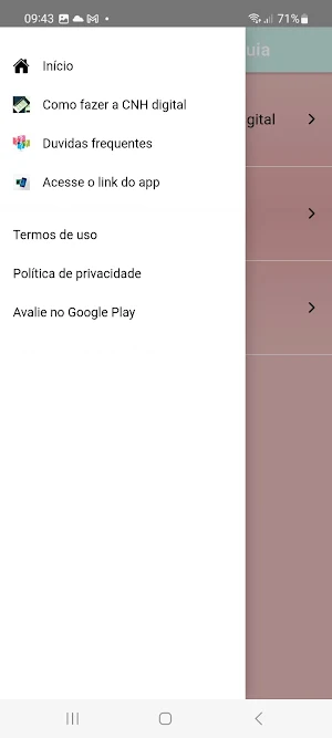 CNH Carteira Digital Guia Screenshot 1