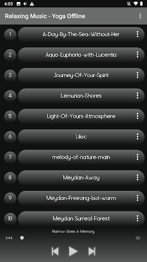 Relaxing Music - Yoga Offline Screenshot 1