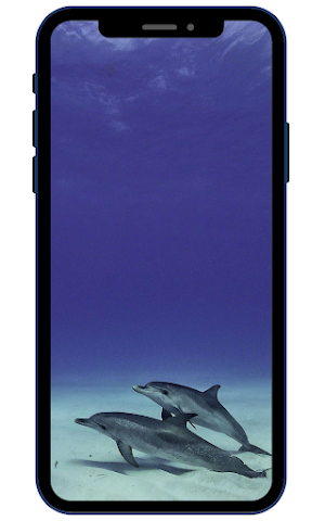 Dolphin Wallpapers Screenshot 0