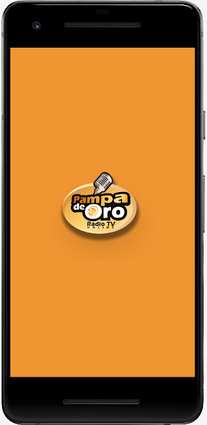 Pampa de Oro Radio TV Online Screenshot 0