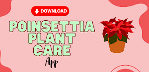 Poinsettia Plant Care Screenshot 2