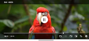 NebulaPlayer: HD Video Player Screenshot 0