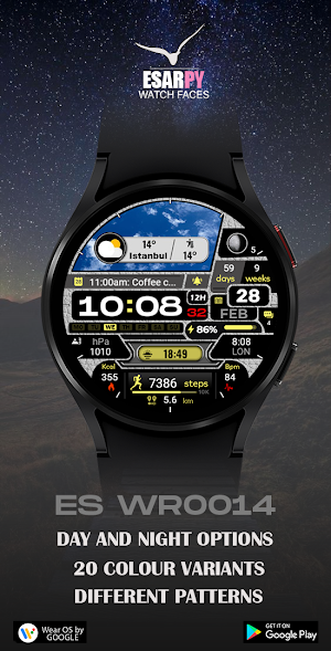 ES WR0014 Screenshot 2