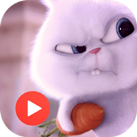 Snowball Animated Stickers
