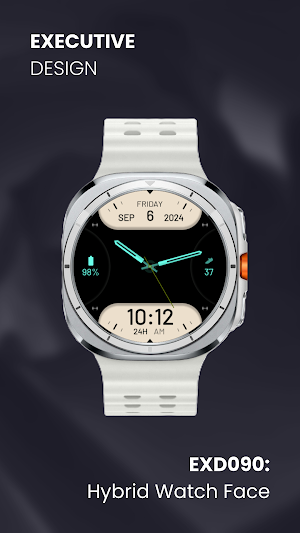 EXD090: Hybrid Watch Face Screenshot 2
