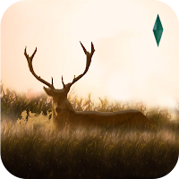 Elixir - Deer Running Game