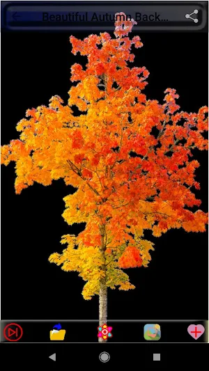 Beautiful Autumn Backgrounds Screenshot 3