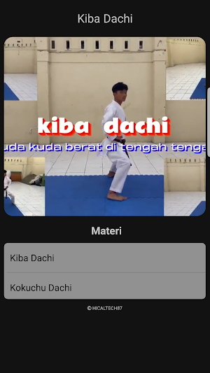 Belajar Karate Screenshot 1