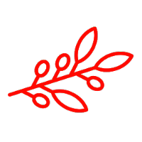 Alimentación Molina