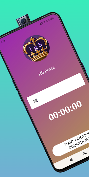 Stake KingTimer Screenshot 2