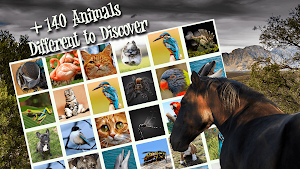 Memory Match - Jungle Animals Screenshot 2