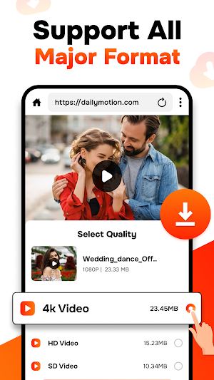 4K Video Downloader Screenshot 3
