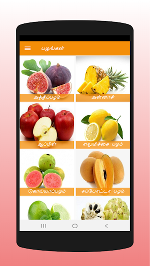 Fruits & Vegetables - பழங்கள், காய்கறிகள் Screenshot 3